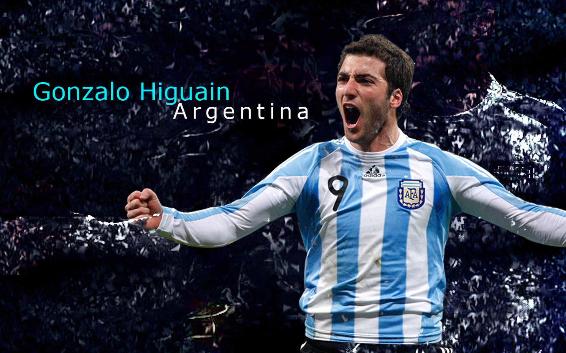 网球明星退役引发粉丝怀念，网球退役运动员