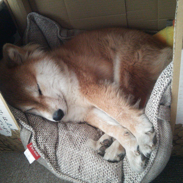 城市夜空灯光飞盘,光影中的极速瞬间,夜空灯光图